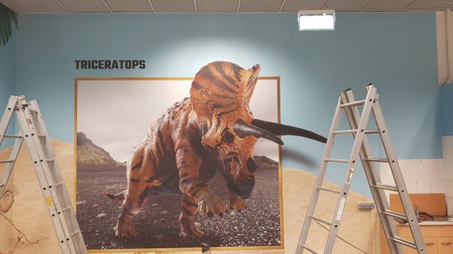 Wandtapeten Druck und Montage Gerasdorf Einkaufszentrum – Referenz AbdeX